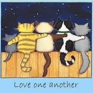 Meet your Posher, Ally